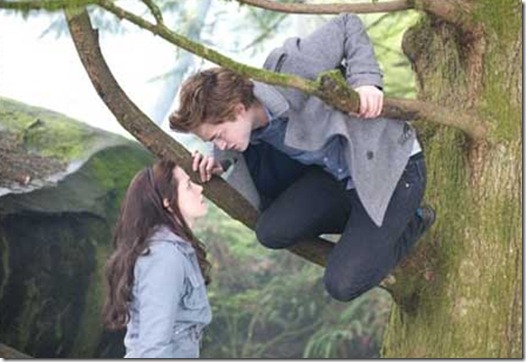 crepusculo_16 crepusculo_16