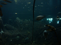 2009-08-22 11.52.29.jpg