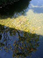 2009-08-27 14.54.16.jpg