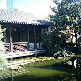 Portland's Chinese Garden