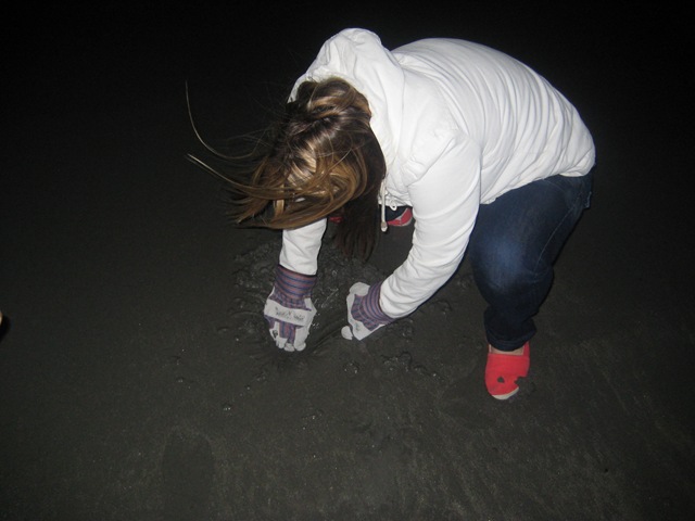 [IMG_62333.jpg]