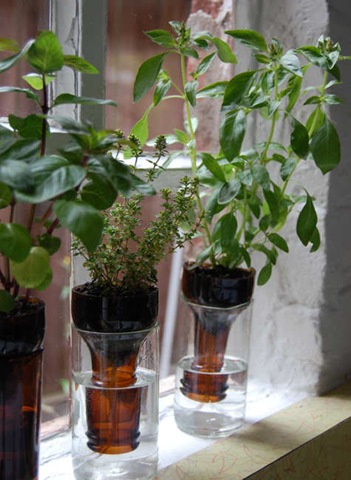 [vases with soda bottles[4].jpg]