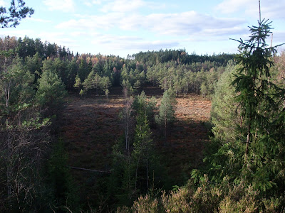 2010_1016(017).JPG