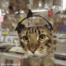 [AfterThreeMonths3.gif]