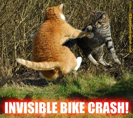 [funny-cats-invisble-bike-crash.jpg]