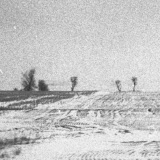 Image0006.jpg