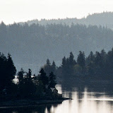 111_771346030008.JPG