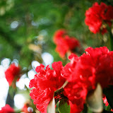 22_850397010009.JPG