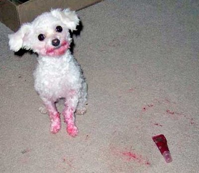 [Lipstick[3].jpg]