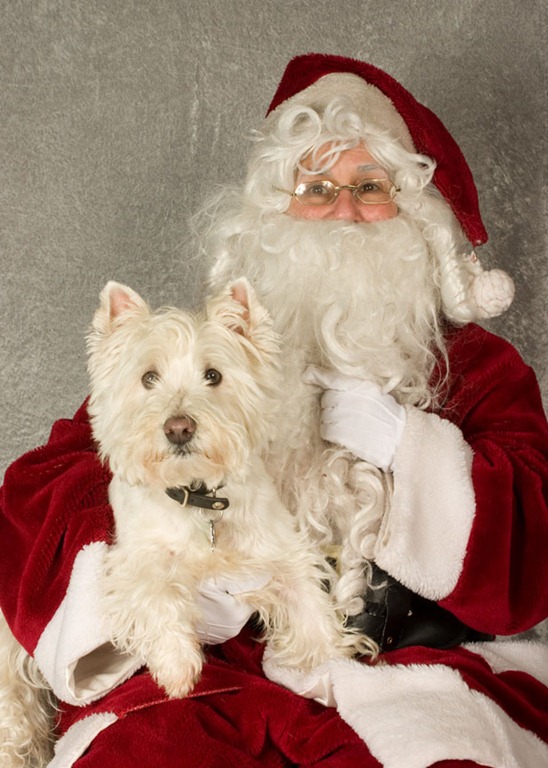 [gussanta[3].jpg]