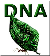 [DNA_logo21[3].jpg]