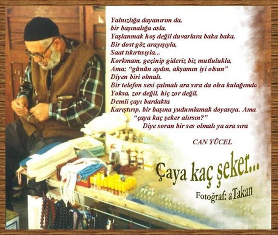 [can_yucel (1)[18].jpg]