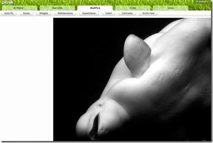 picnik editor picnik editor