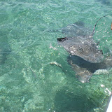 DSCN0781.JPG
