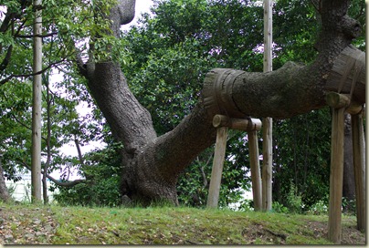 2010-05-15 Hamarikyu Gardens for Posting (53) 2010-05-15 Hamarikyu Gardens for Posting (53)