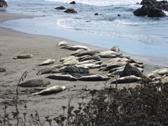IMG_0899 IMG_0899