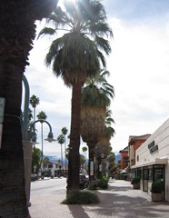 IMG_0915 IMG_0915