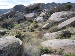 IMG_1064 IMG_1064