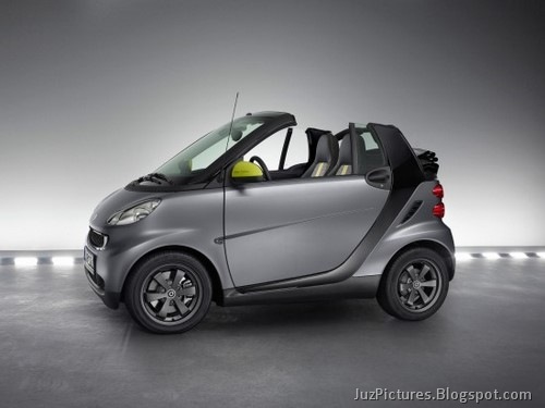 [smart-fortwo-greystyle-edition-03[2].jpg]