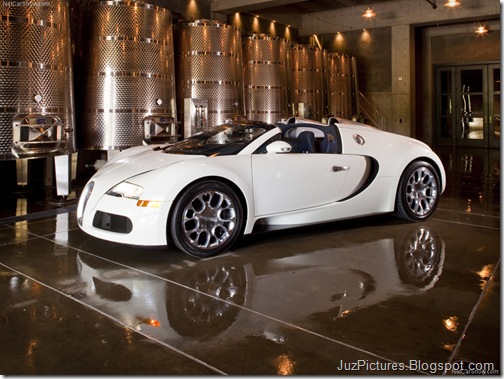Bugatti-Veyron_Grand_Sport_13