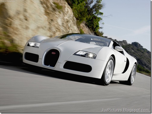 Bugatti-Veyron_Grand_Sport_21