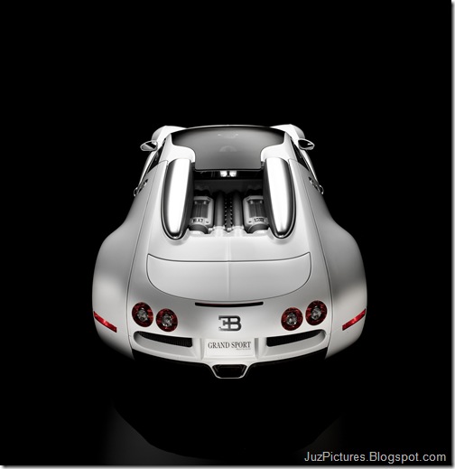 Bugatti-Veyron_Grand_Sport_22