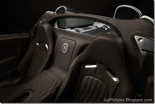Bugatti-Veyron_Grand_Sport_29