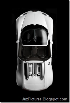 Bugatti-Veyron_Grand_Sport_33
