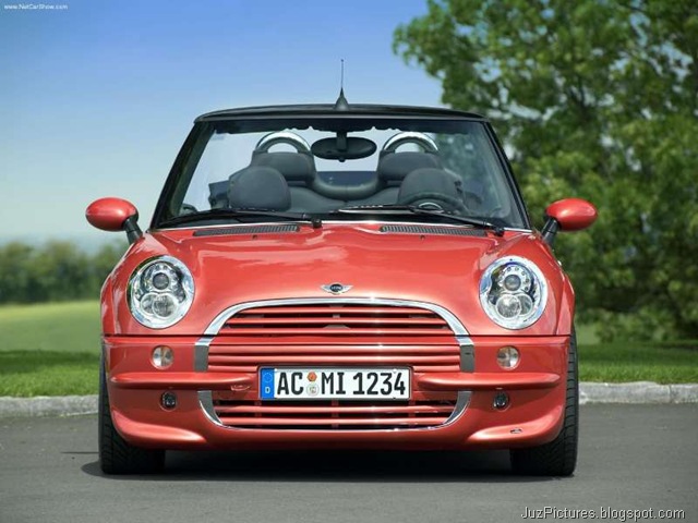 [AC Schnitzer Mini Cooper Covertible11[2].jpg]