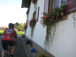beautiful flower window boxes