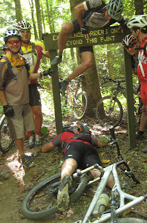 cRASh finds it all rather amusing