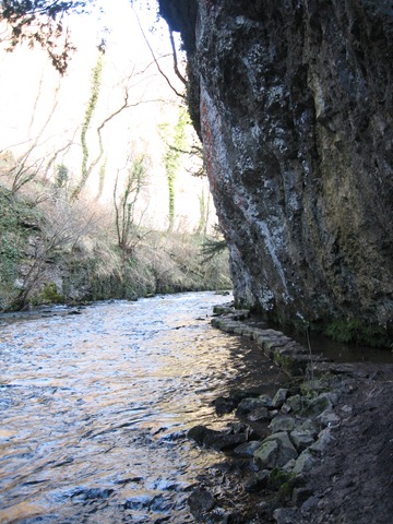 [IMG_5556[3].jpg]