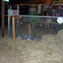 Dodge City Party Center