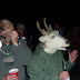 Deer caught in the flash