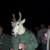 This deer is watching his caloric intake