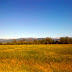 Views in Idaho