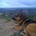 Rainah relaxes by the canyon