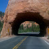 Through the tunnel