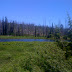 Scenery (Yellowstone National Park)