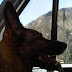 IMG00404-20100713-1400.jpg