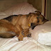 Rainah is tired from her trip