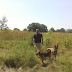 The marsh behind our campsite
