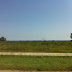 Green Bay