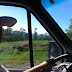 Scenery on the Drive