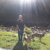 The Dogs Next to Our Parking Lot Campsite