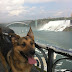 Rainah at Niagara Falls