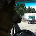 Rikka drives to pick up supplies