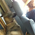Backseat driver