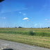 Windmills on the drive