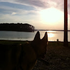Rikka hanging out as the sun sets